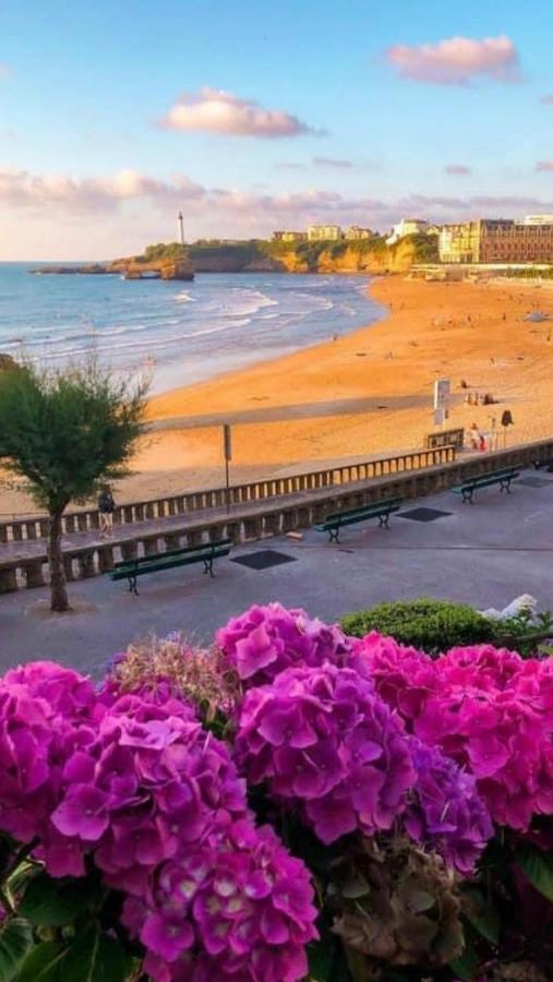 Residence La Croisiere- Appt Duplex 6 Personnes أنغليه المظهر الخارجي الصورة