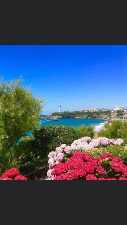Residence La Croisiere- Appt Duplex 6 Personnes أنغليه المظهر الخارجي الصورة